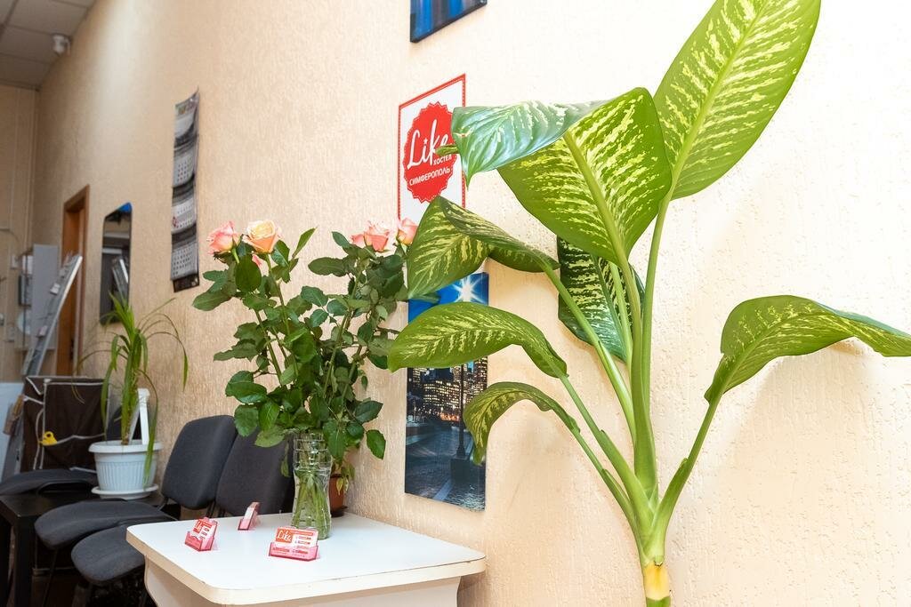 Хостел Лайк Симферополь-107