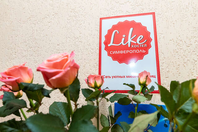 Хостел Лайк Симферополь-33